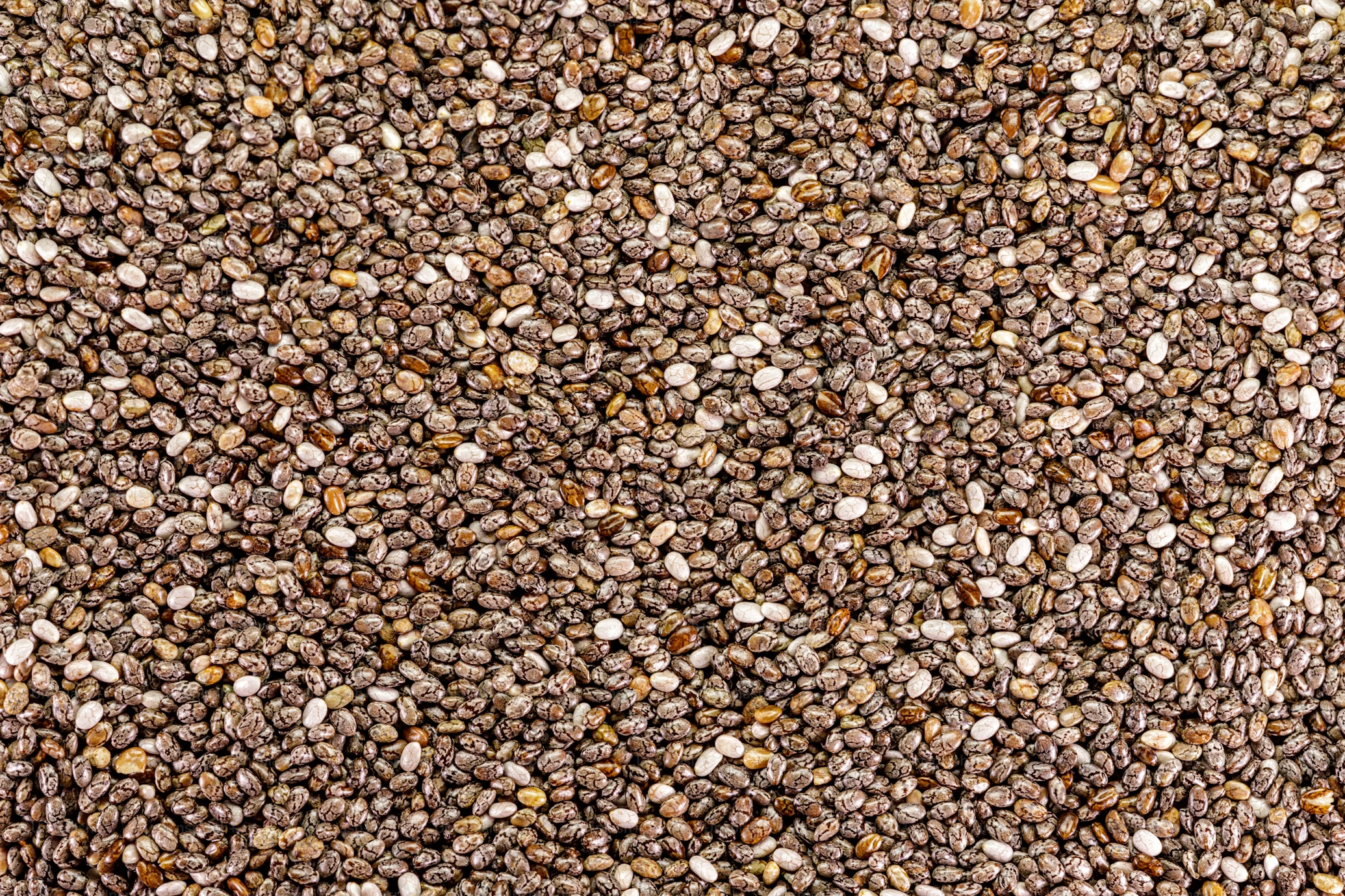 Castor Seeds
