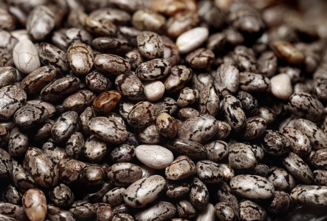 Castor Seeds view 3
