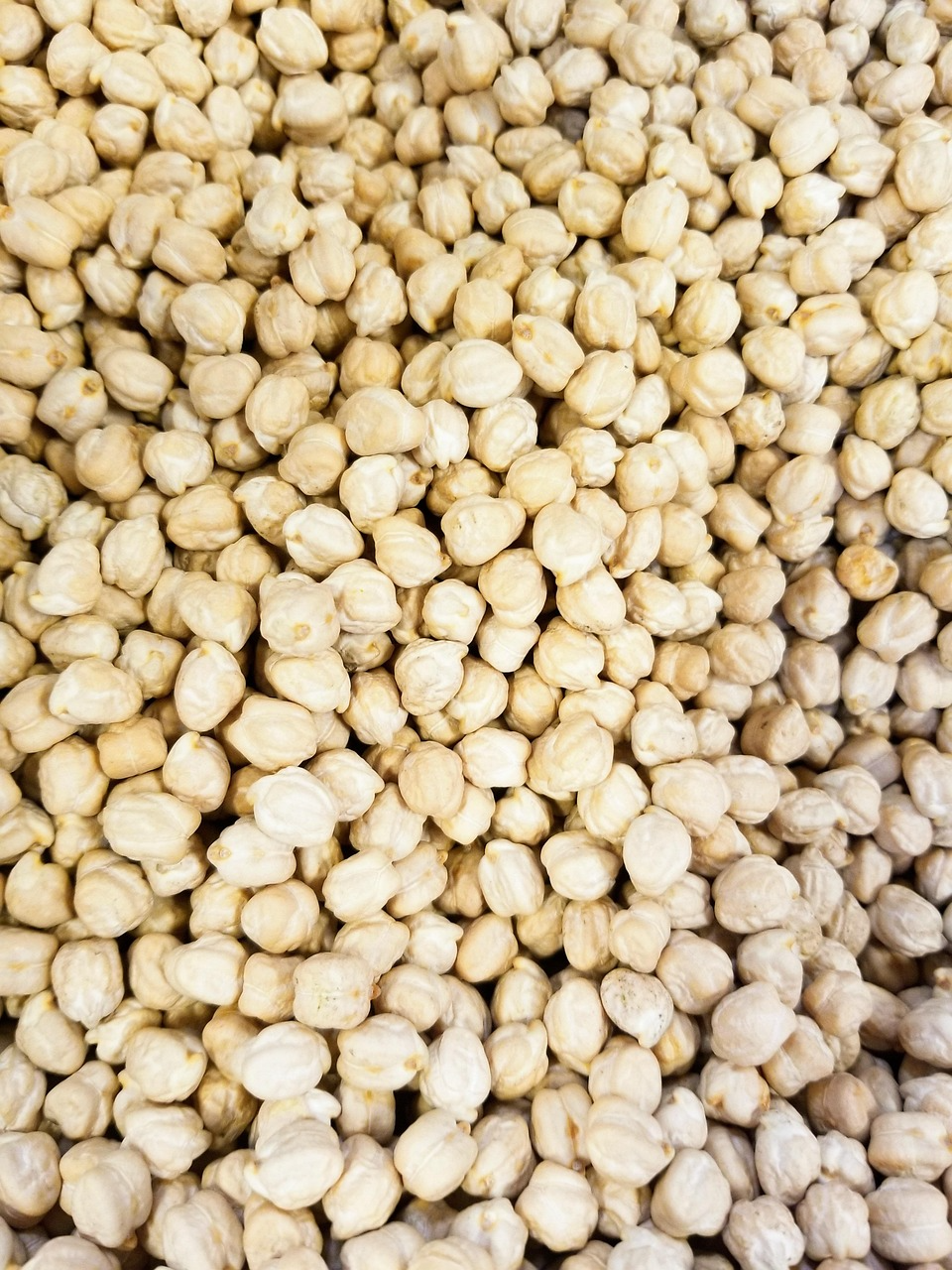 Kabuli Chickpeas view 2