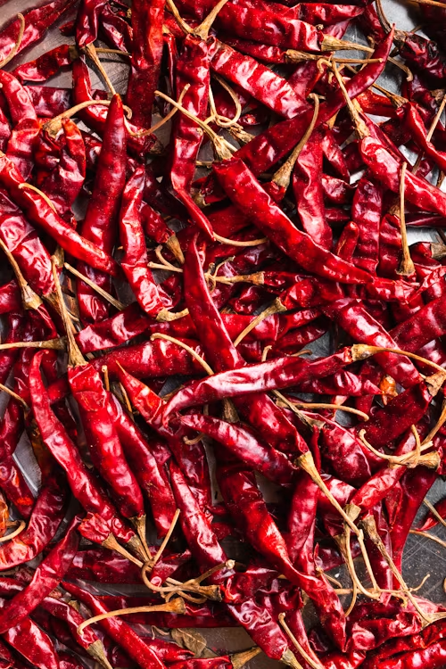 Guntur Sanam S4 Chilli