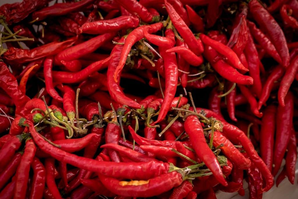 Kashmiri Chilli