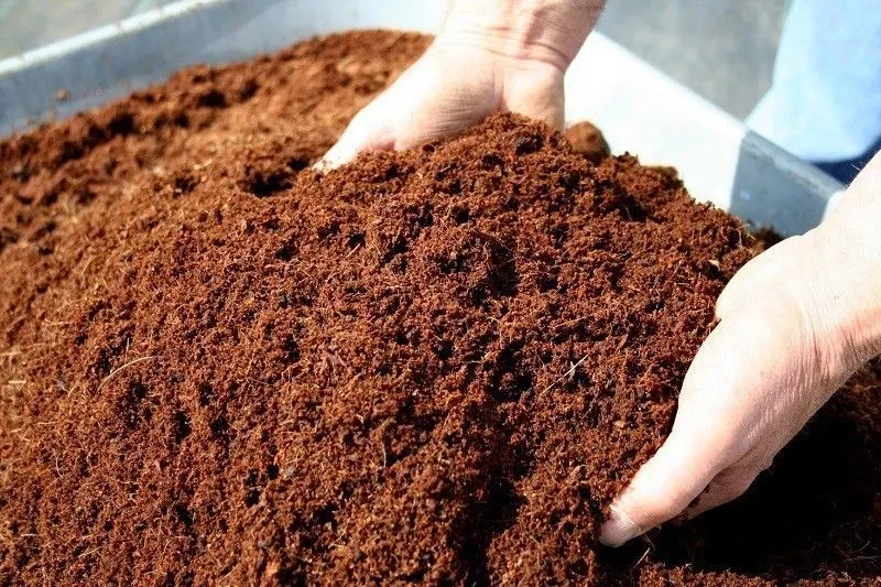Coir Pith (Coco Peat)