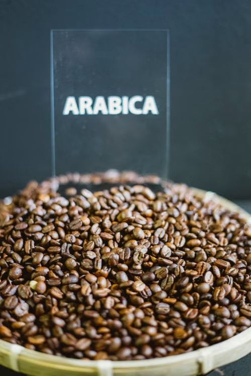 Arabica Coffee Beans