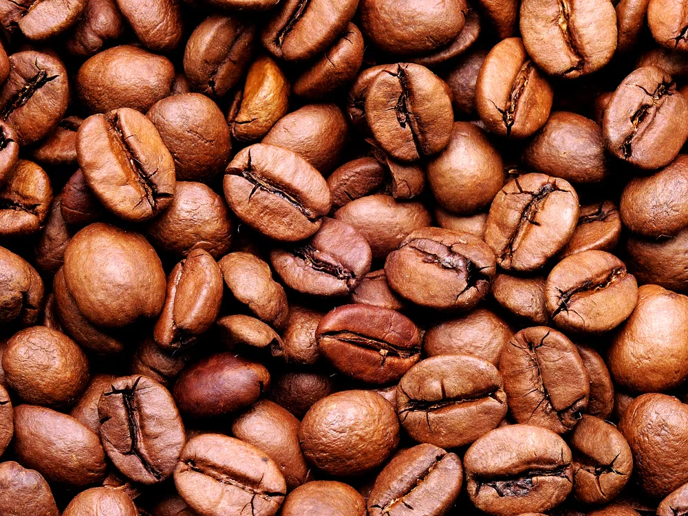 Arabica Coffee Beans view 2