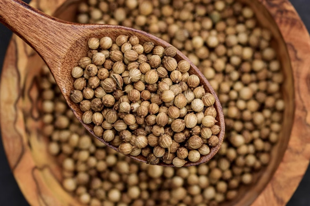 Double Parrot Coriander