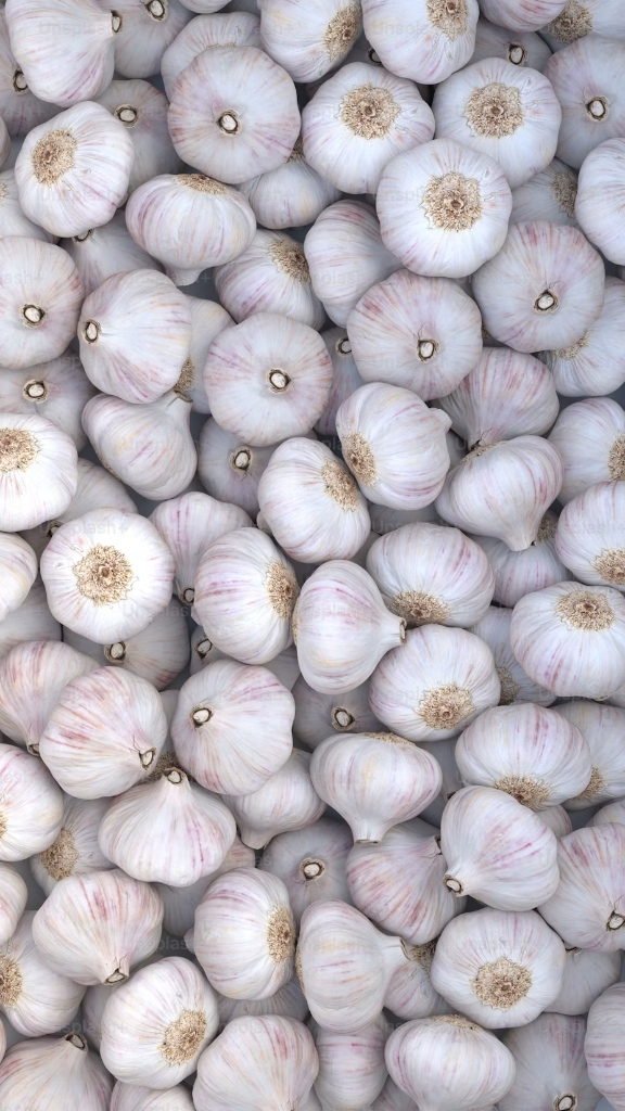 Export Quality Bold Garlic
