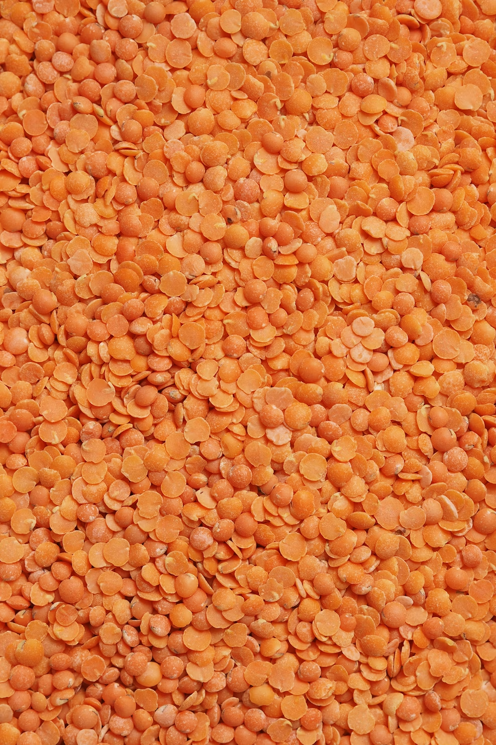 Red Lentils (Masoor)