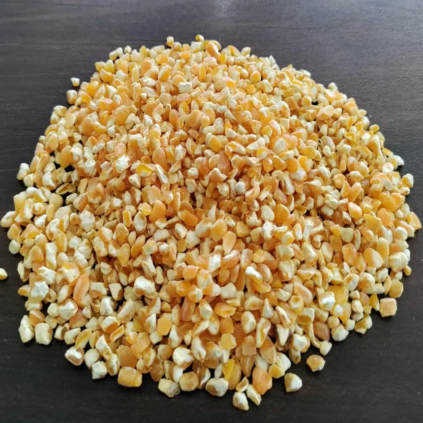 Yellow Feed Maize