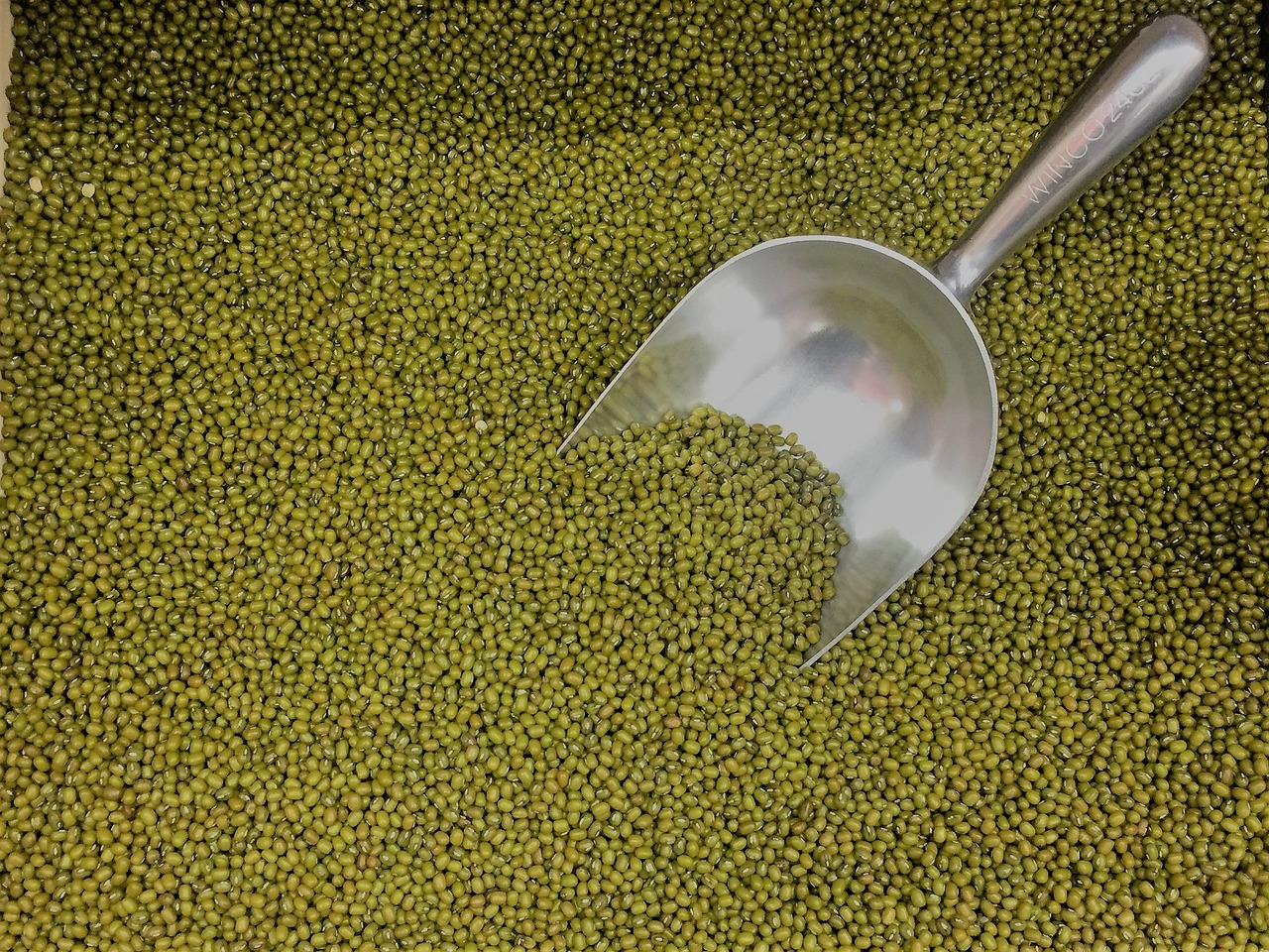 Green Mung Beans view 3