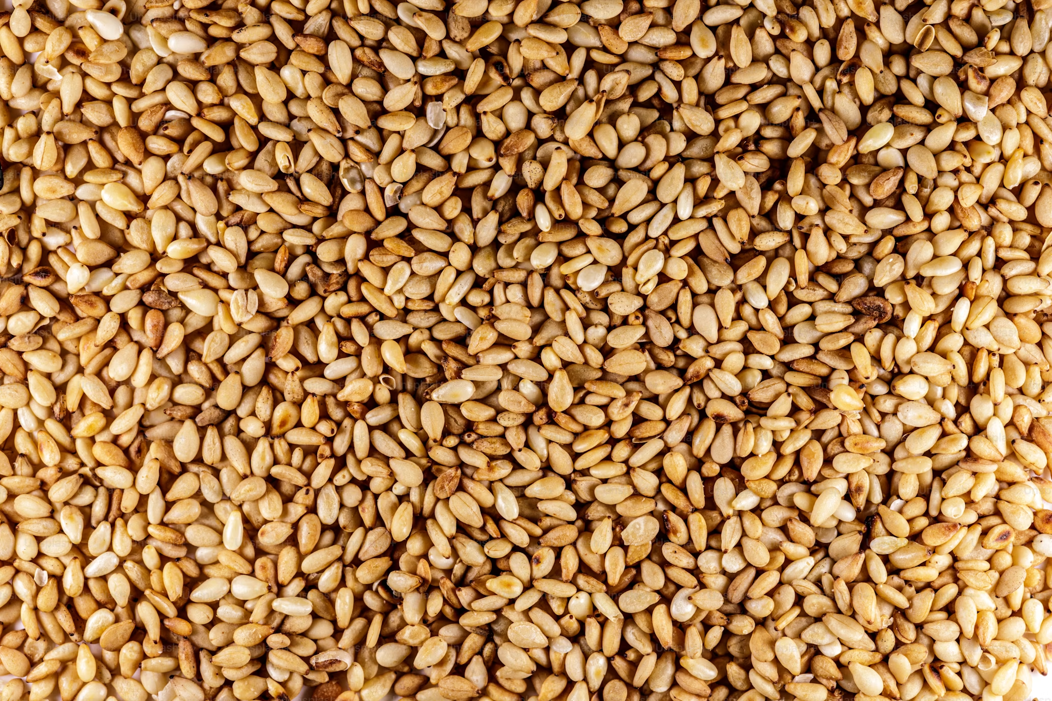 Natural White Sesame