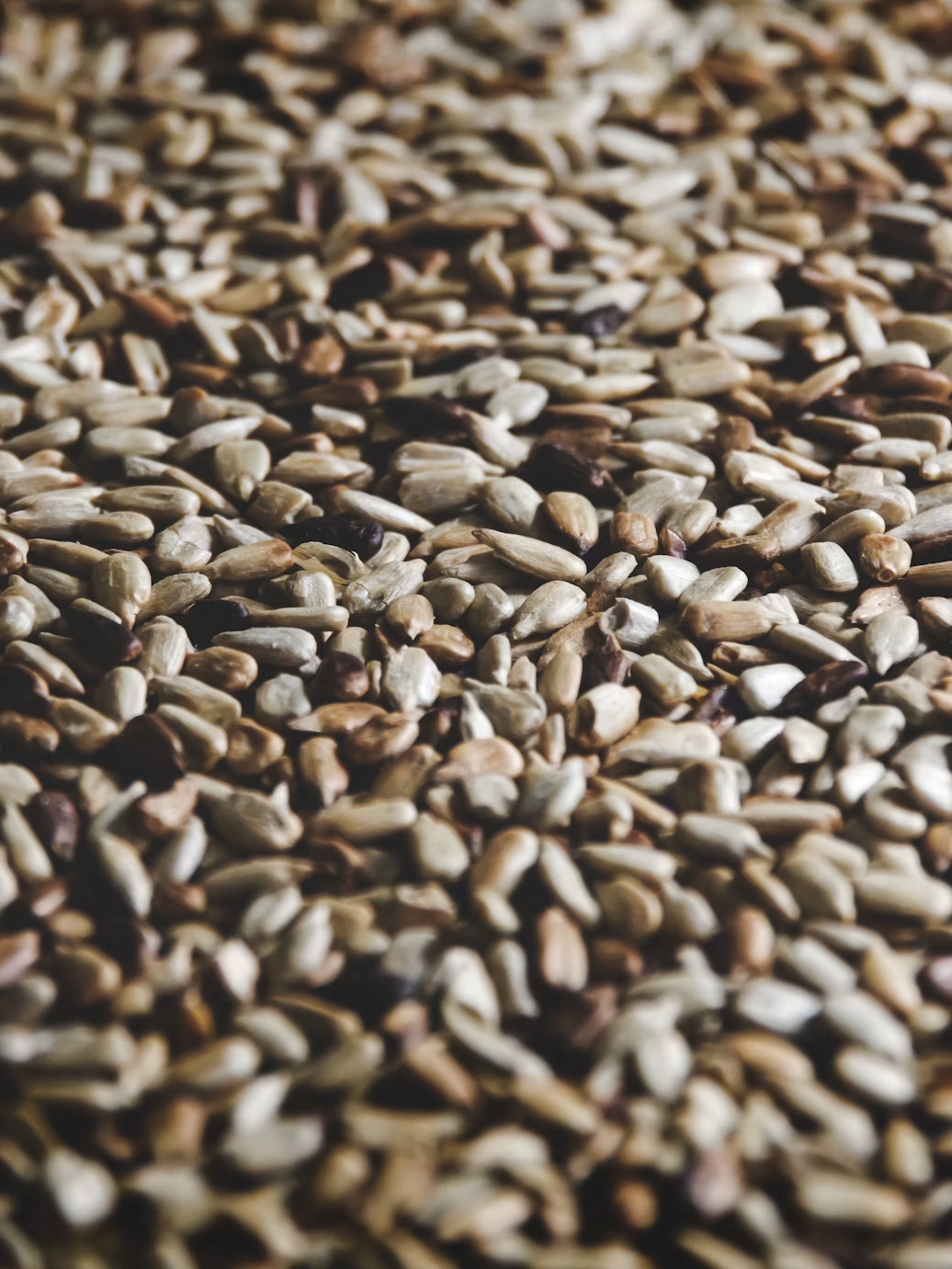 Natural White Sesame view 3